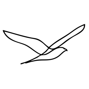 Möwe