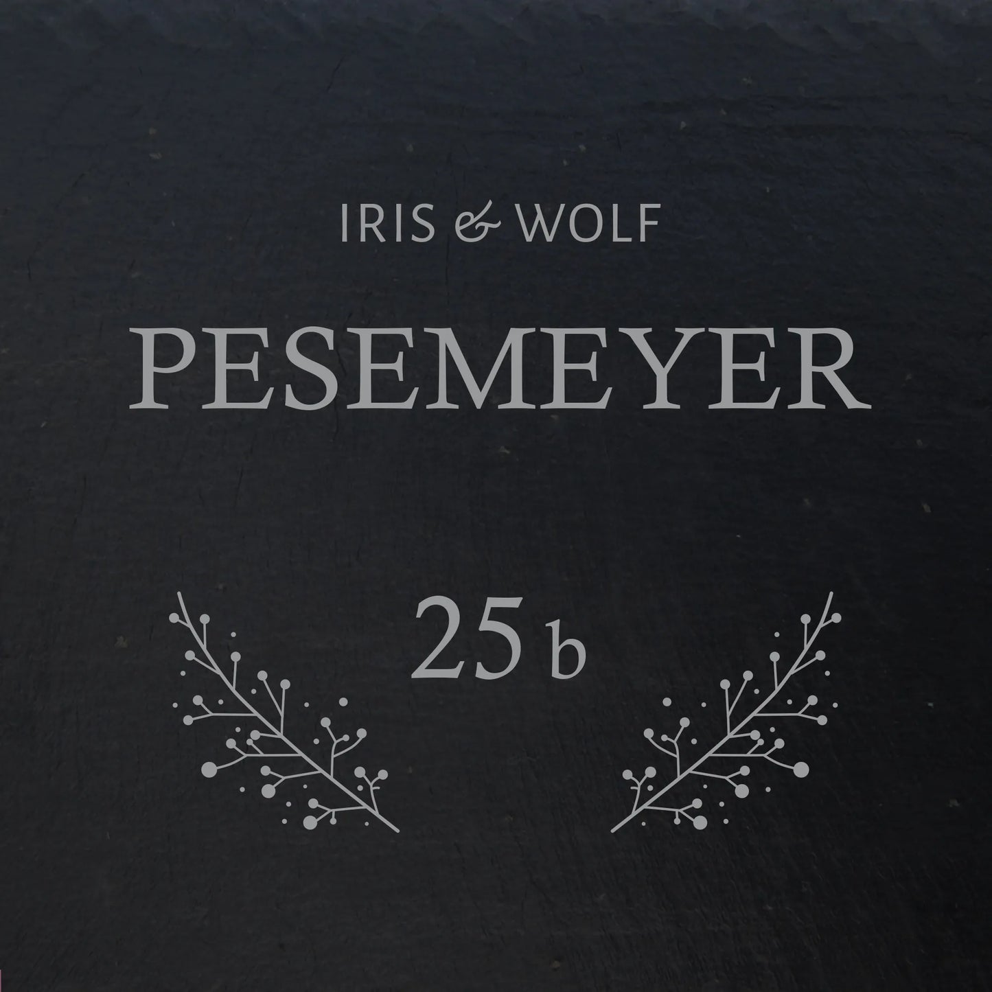 Türschild aus Schiefer - Gravur Motiv POSCHMANN - Jeske Design