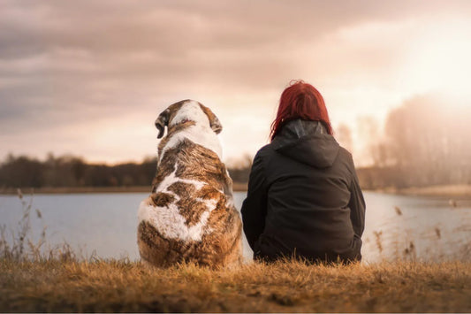 Eine Frau und ein Hund sitzen nebeneinander mit dem Rücken zum Betrachter sitzend auf dem Rasen und schauen auf einen See in der Abenddämmerung