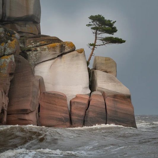 Naturwunder: Sandstein und Granit in der Norddeutschen Tiefebene - Jeske Design