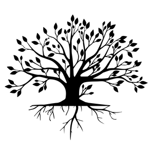 Lebensbaum mit Wurzel
