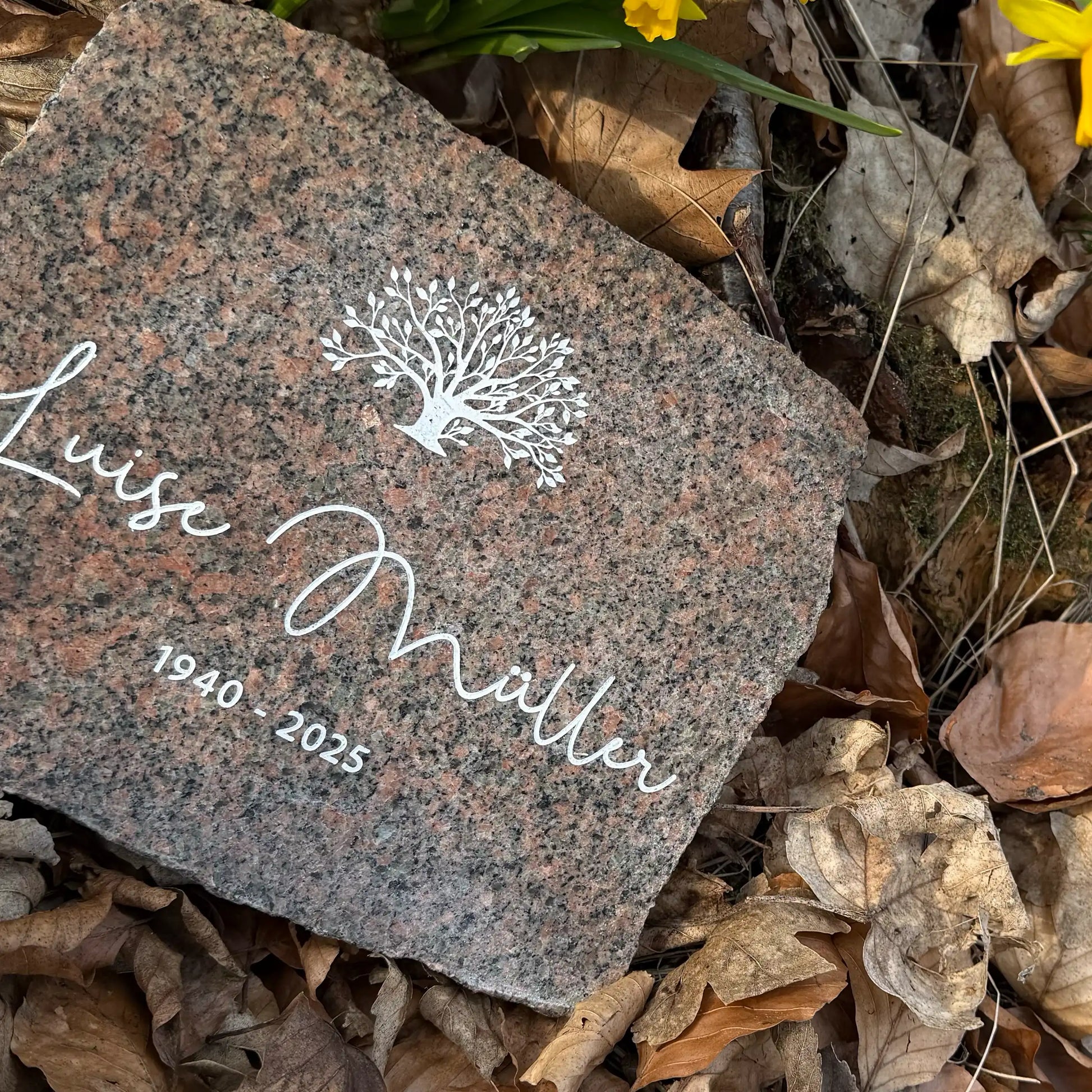 Detailaufnahme Gedenkstein aus Granit mit Lebensbaum-Gravur, Name in Handschrift & Lebensdaten