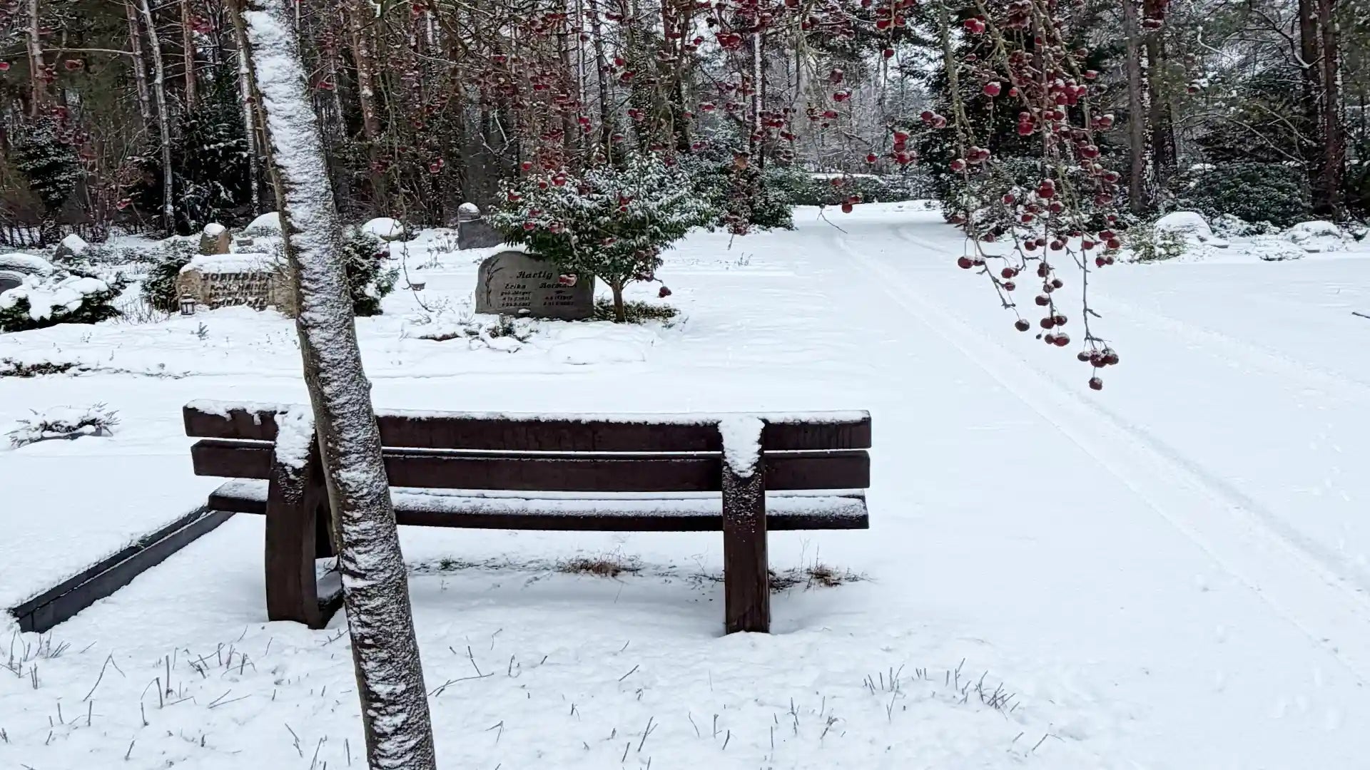 Eine Sitzbank auf einem Friedhof in schneebedeckter Landschaft