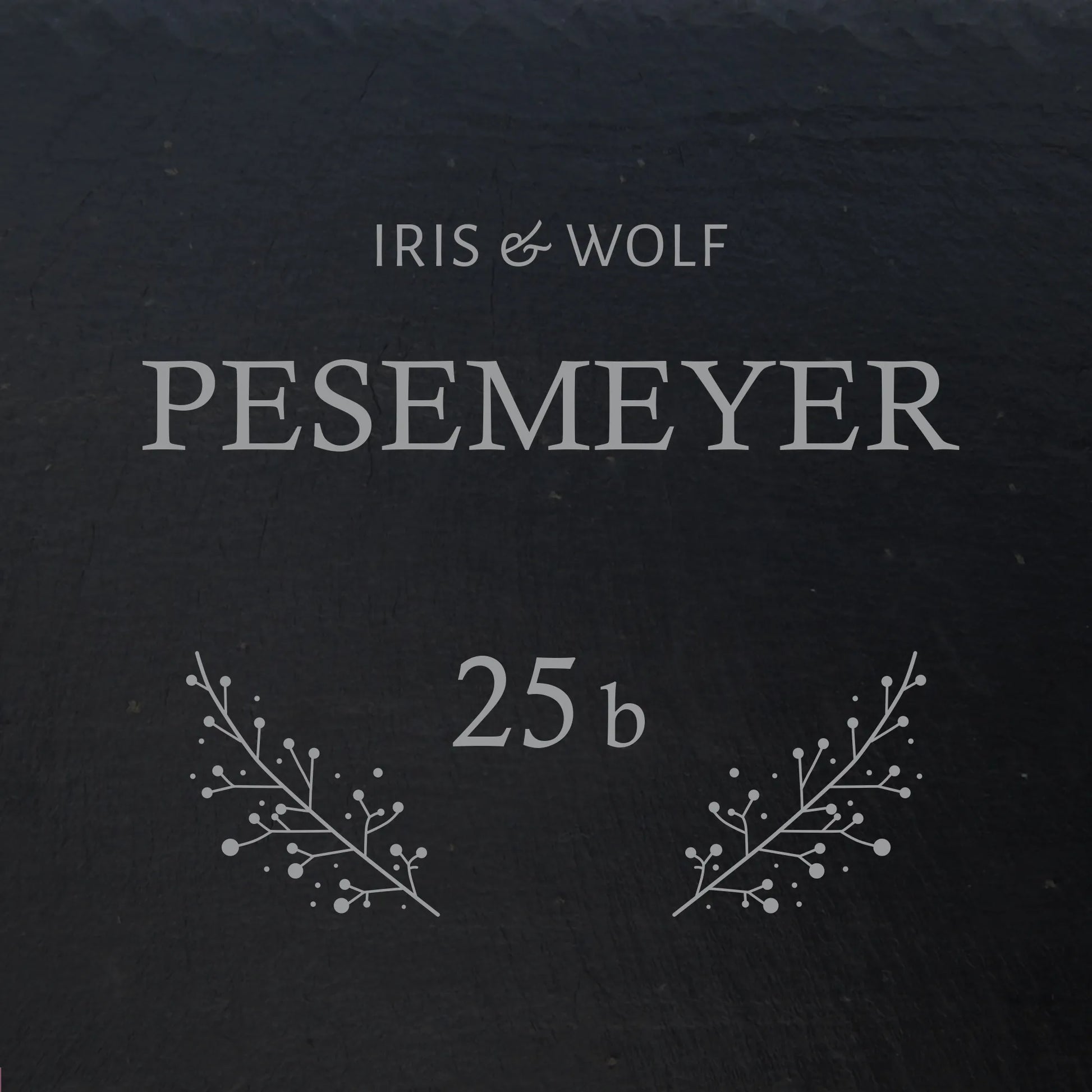 Türschild aus Schiefer - Gravur Motiv POSCHMANN - Jeske Design